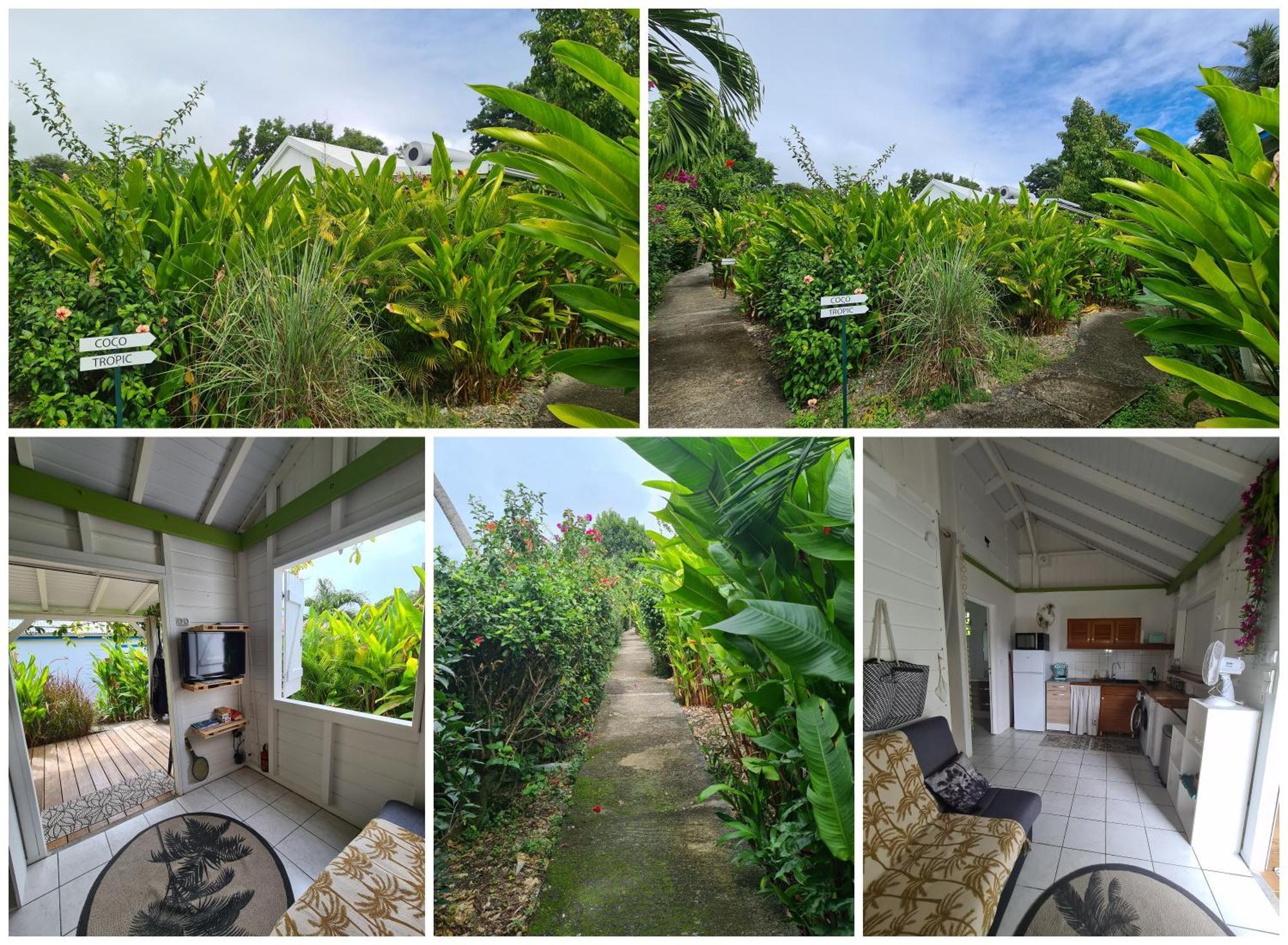 Charmant Bungalow Coco Sainte-Anne  Exteriér fotografie